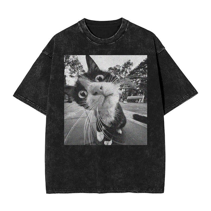 Picture T Shirt
