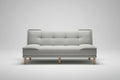 Gray sofa bed in a room with decorative elements