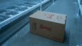 Somave Boiler 10kg (Carton)