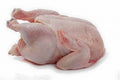 Whole Hen 10kg