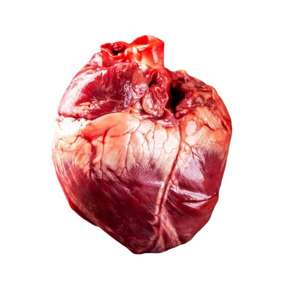 Minerva Heart (Carton)